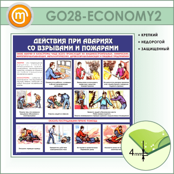         (GO-28-ECONOMY2)
